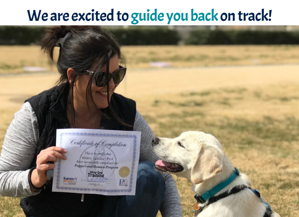 Yellow Lab Pup and his mom showing off their completion certificate