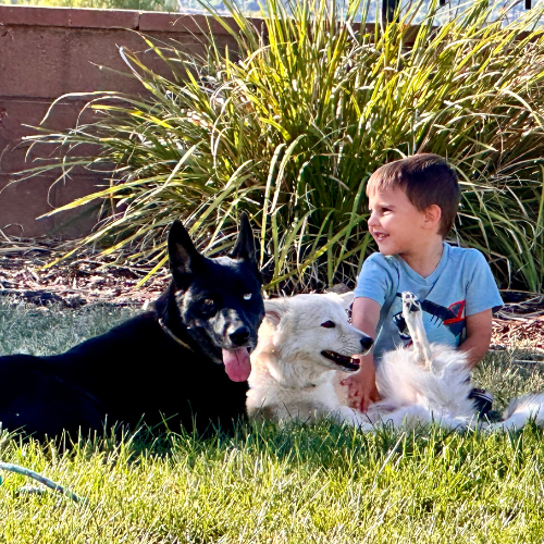 Young boy sits in the yard with a black and cream colored dog.